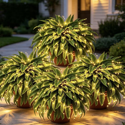 Glowing Boston Ferns with Lights –  Zero Watering, Zero Maintenance
